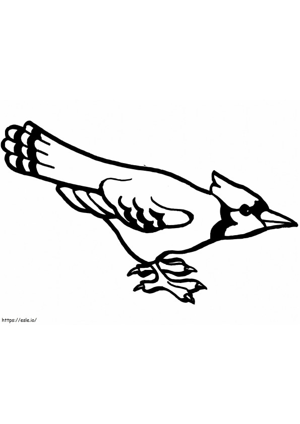 Curious Blue Jay coloring page