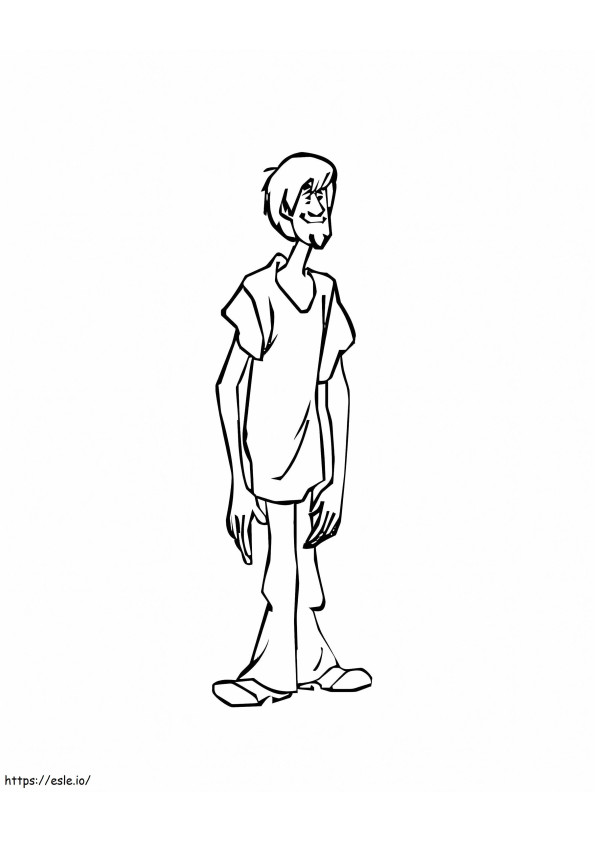 Shaggy Drawing