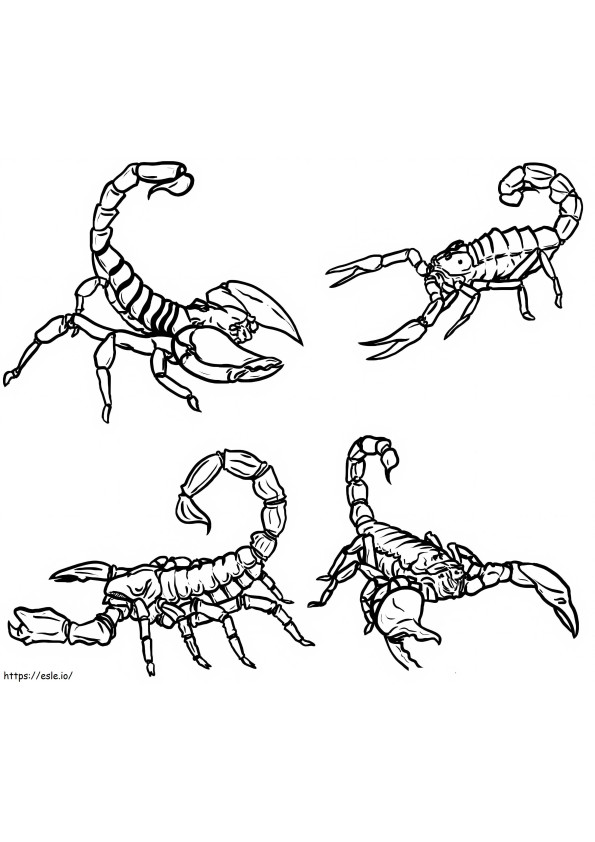 Scorpions coloring page