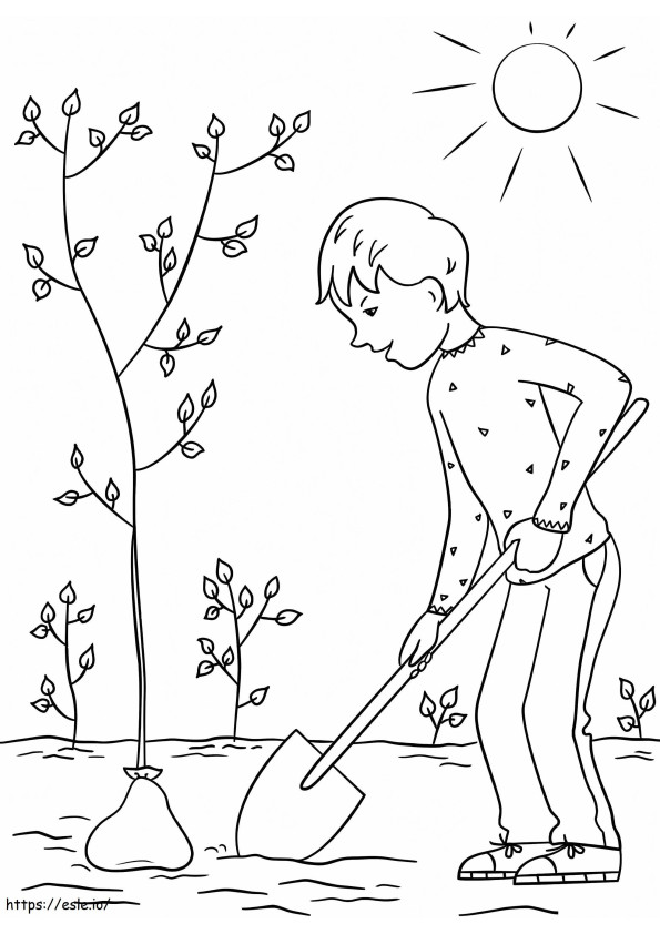 niño plantando un árbol para colorear