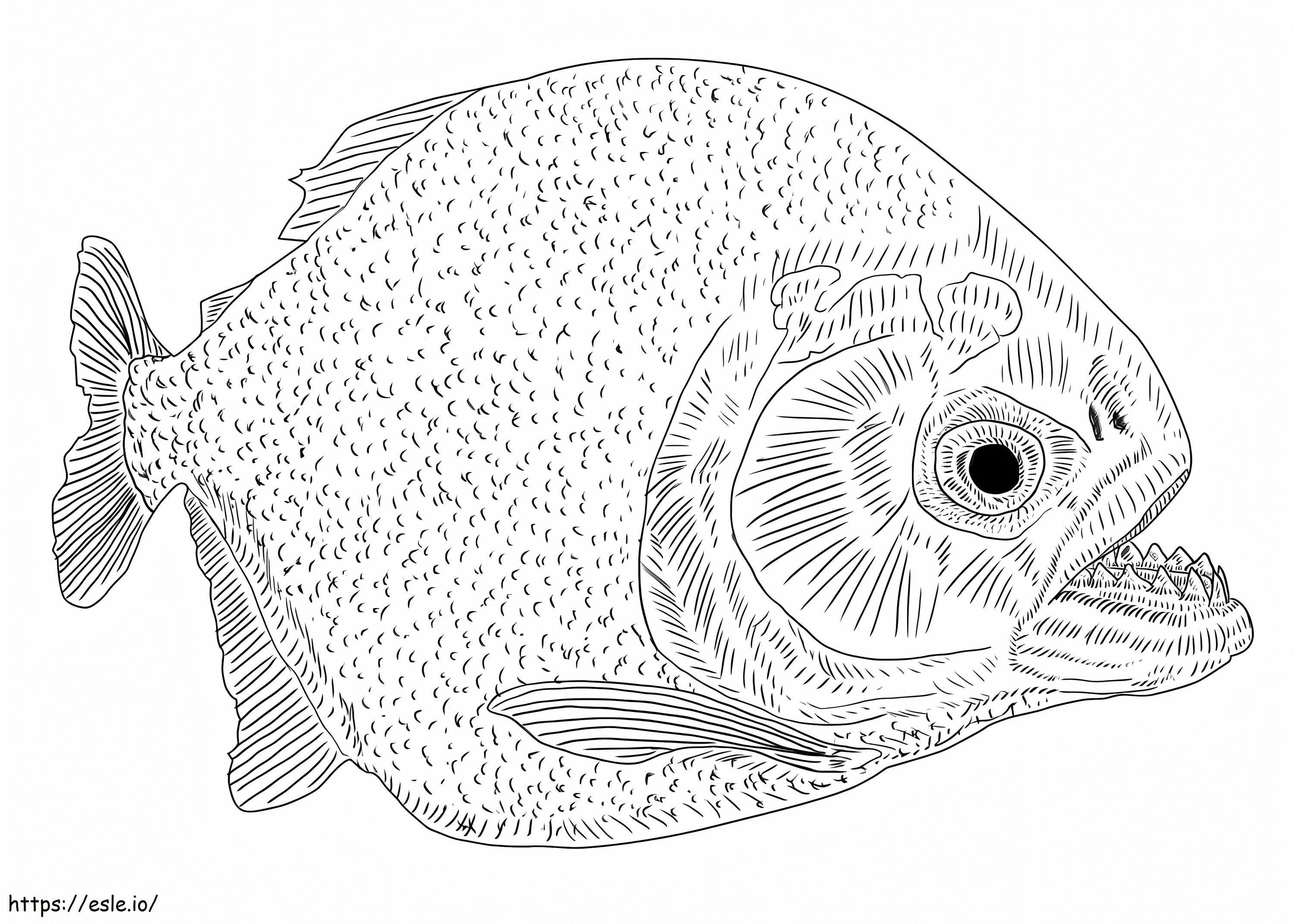 Peștele Piranha de colorat