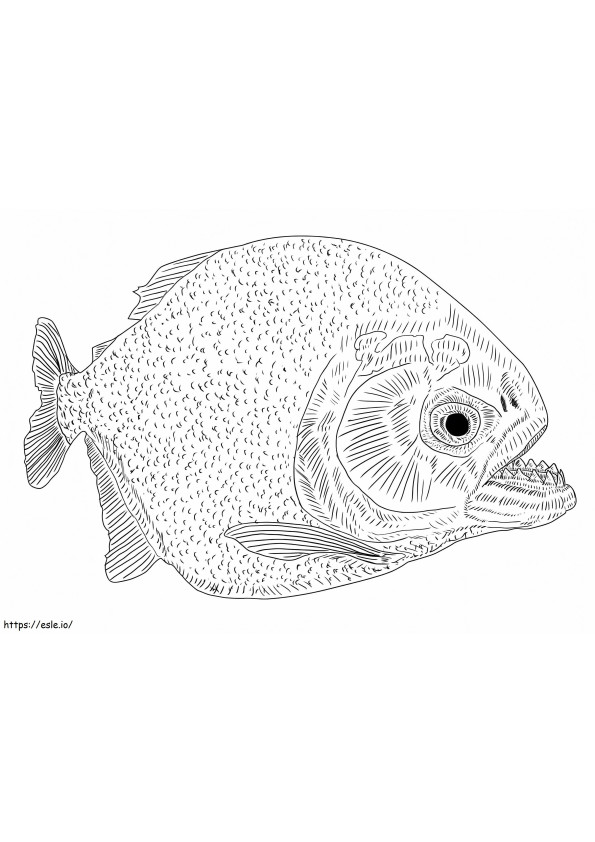 Piranha-Fisch ausmalbilder