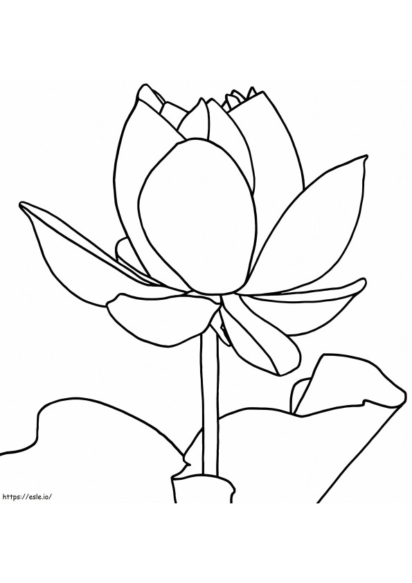 Lotus To Color coloring page