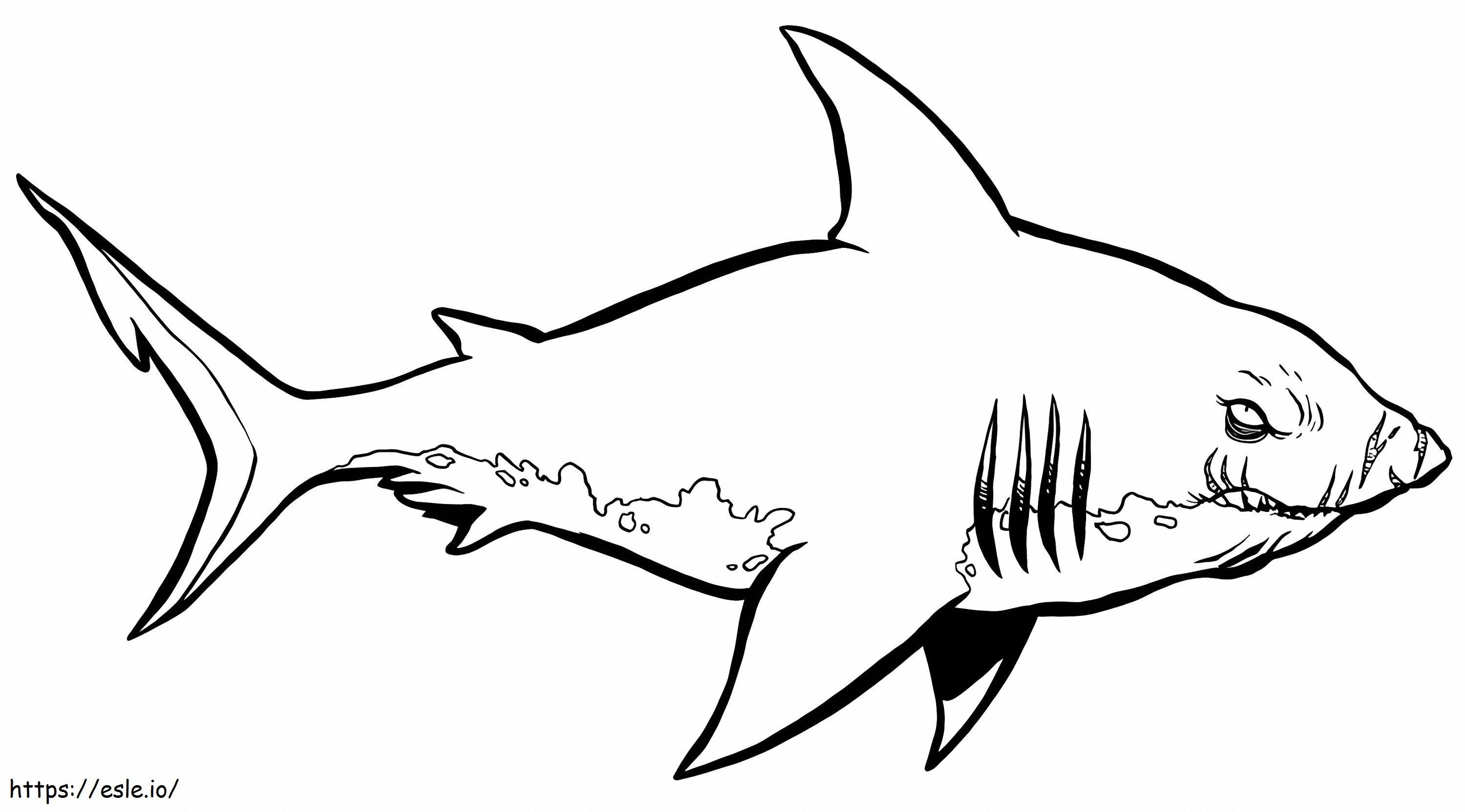 1541379158_Shark Pictures to Color Hain värityskirja Hammerhead Shark Clipart värityskirja Pencil Ravens värityskuva
