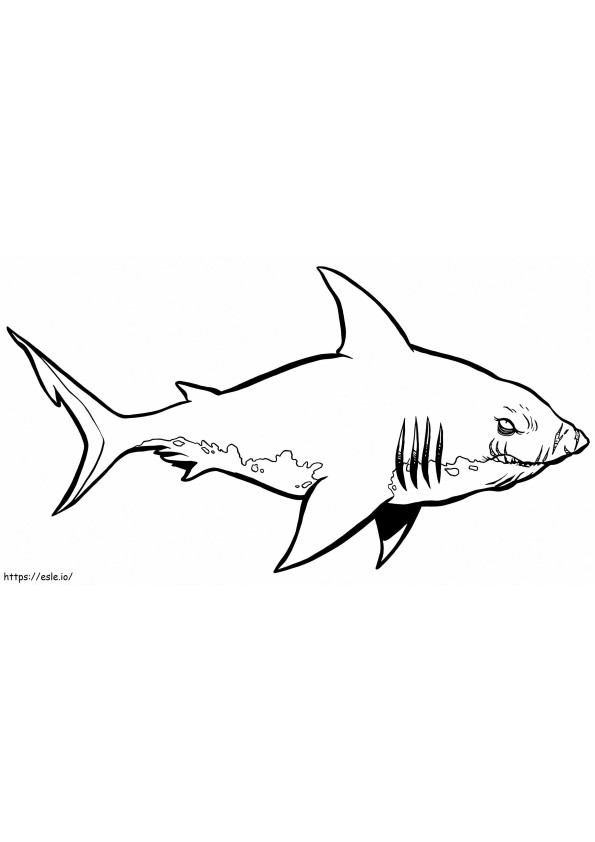 Kleurboek Hammerhead Shark Clipart Kleurboek Pencil Ravens kleurplaat