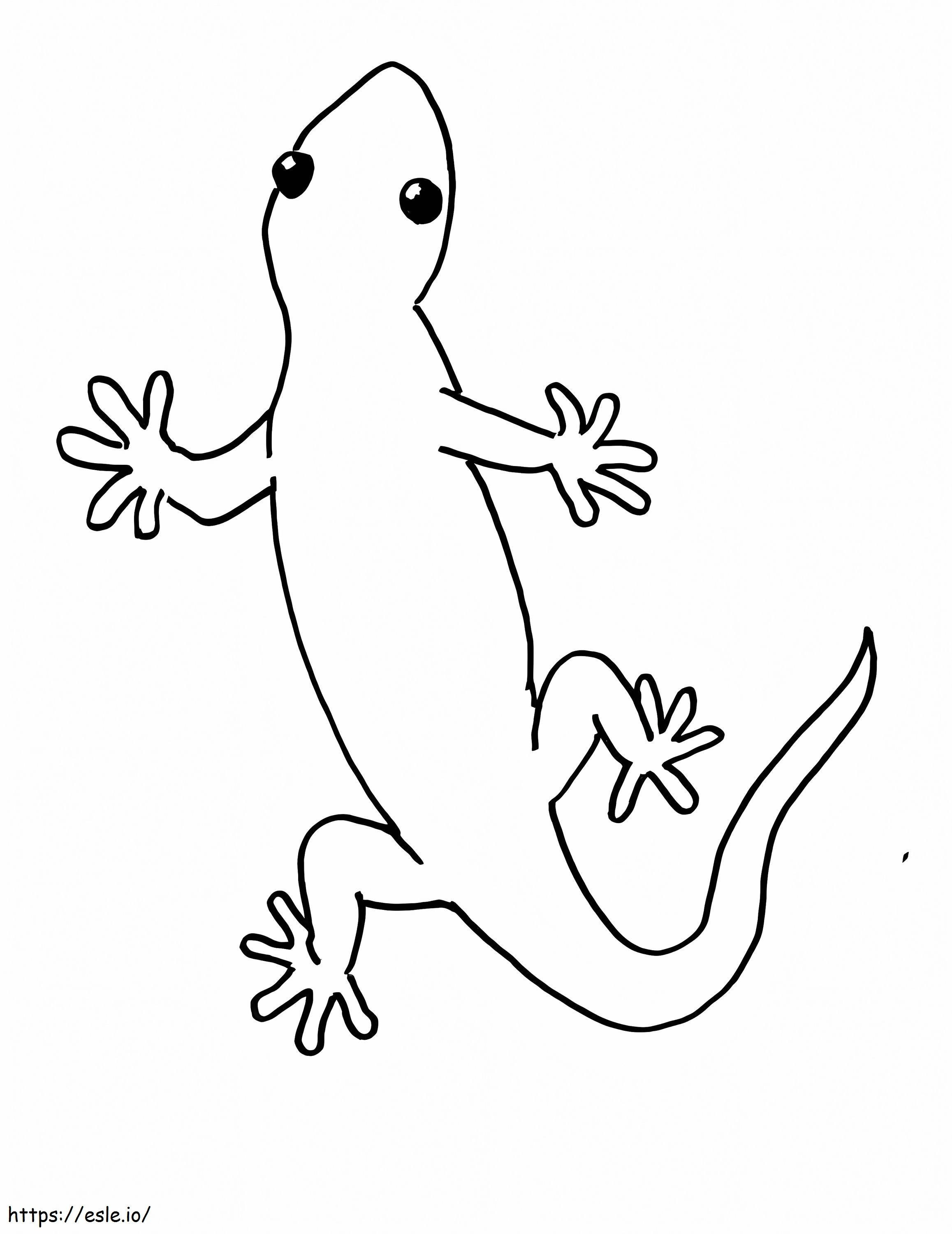 Easy Gecko coloring page