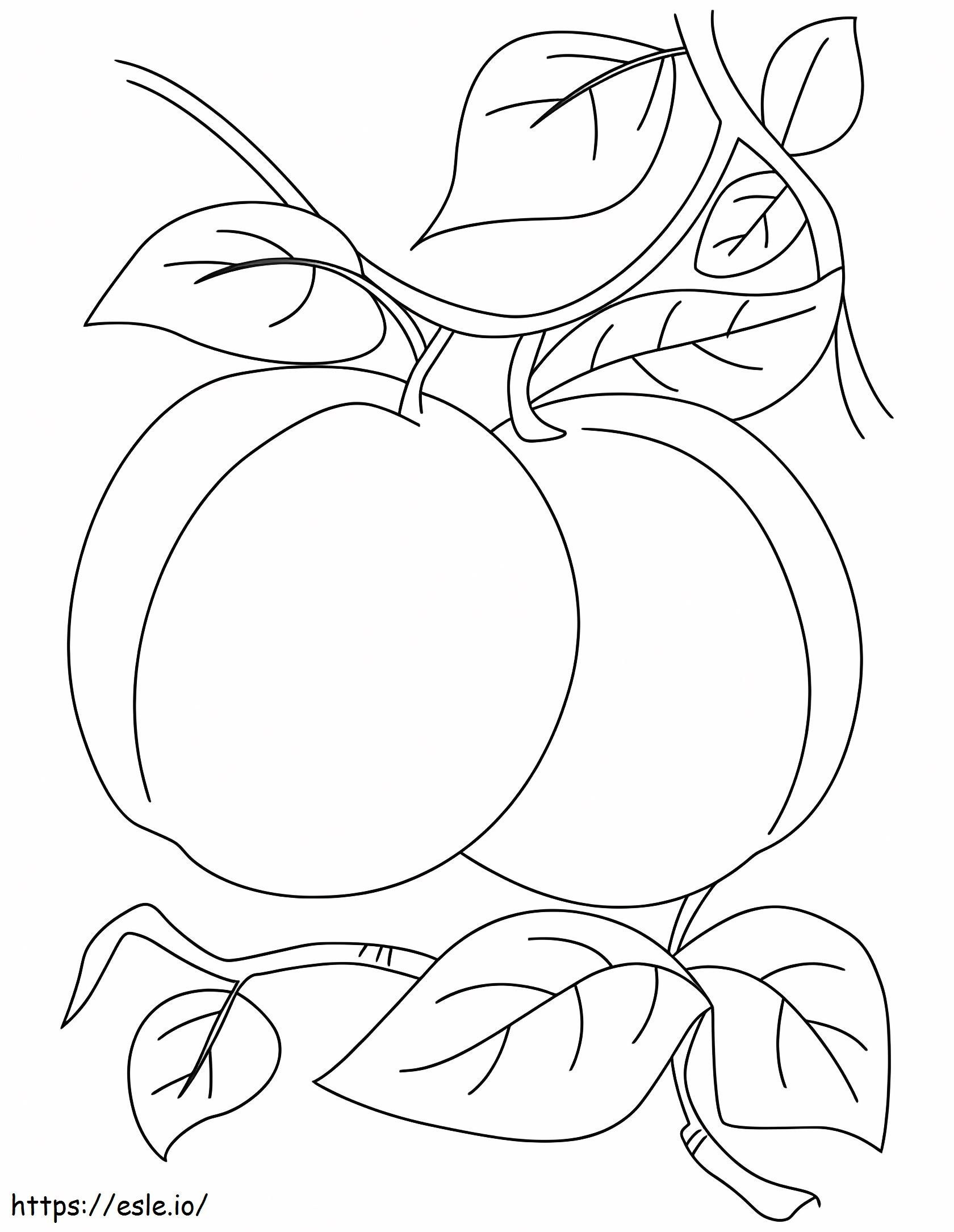Apricot 10 coloring page