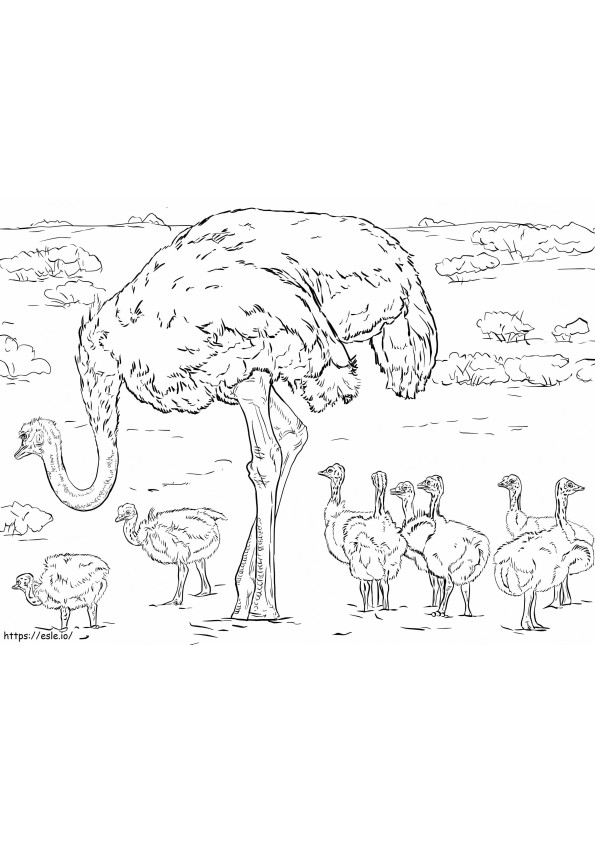 Mother And Babies Ostrich coloring page