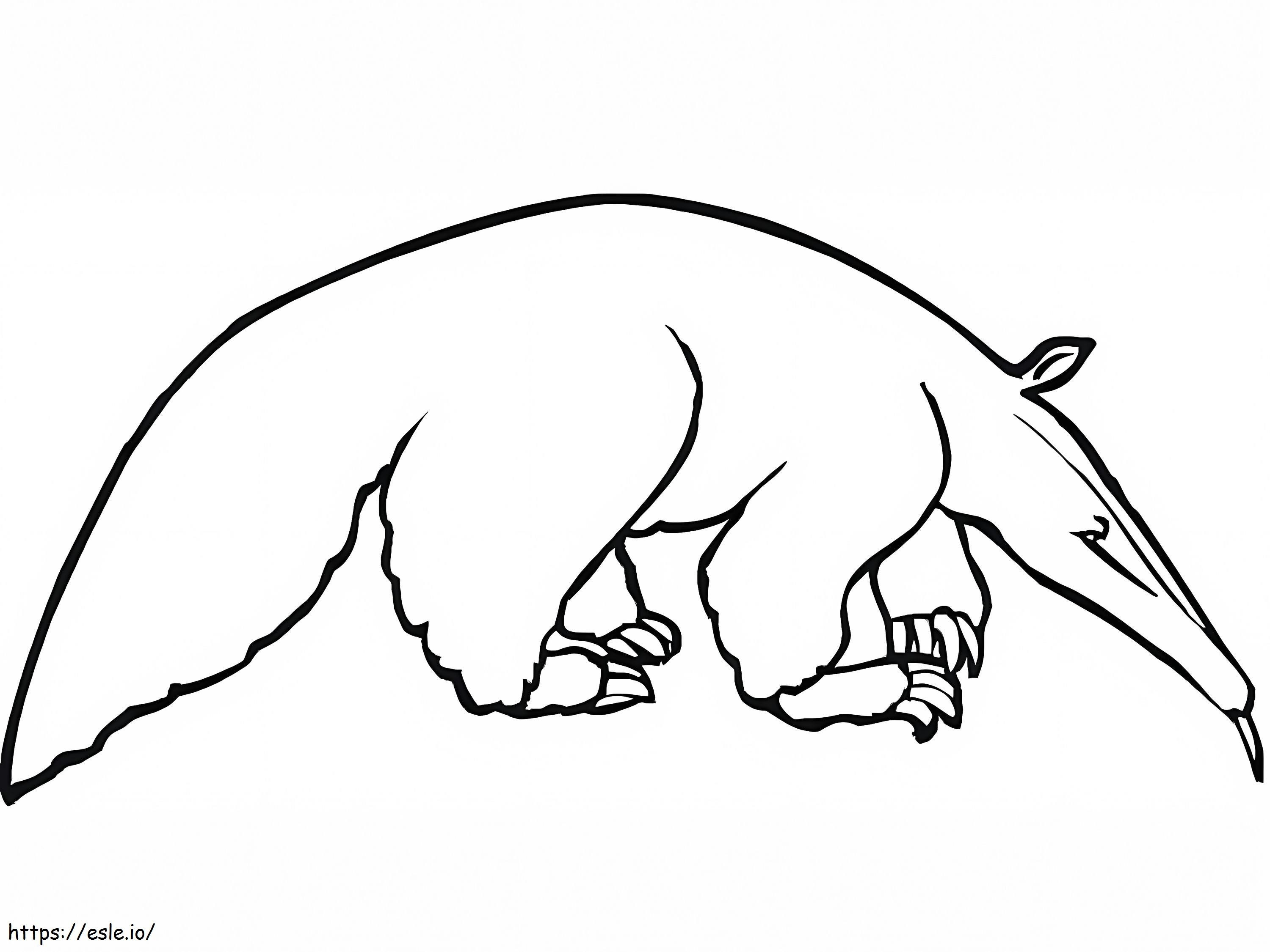 Un oso hormiguero normal para colorear