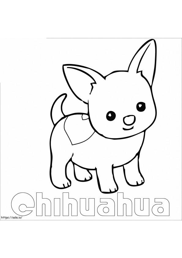 Chihuahua carino da colorare