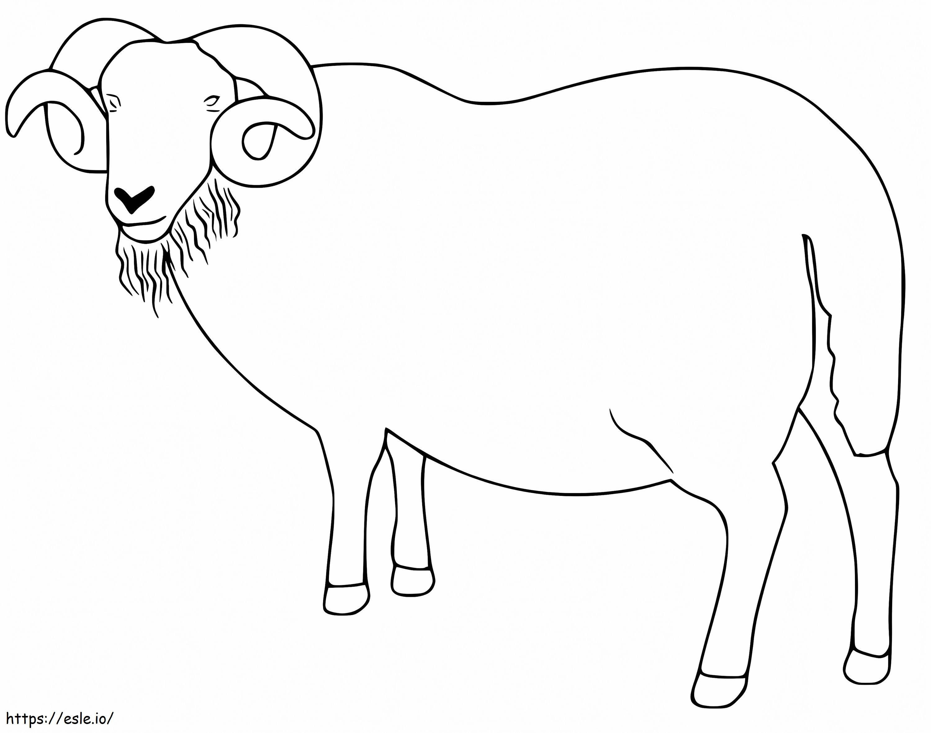 Einfacher Ram ausmalbilder
