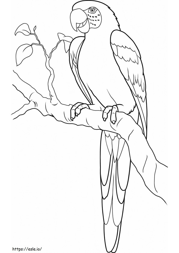 Parrot On Tree Branch With Leaves coloring page