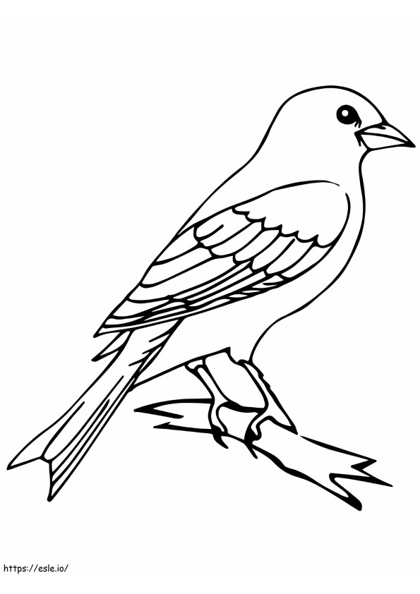 Perfect Canary Bird coloring page
