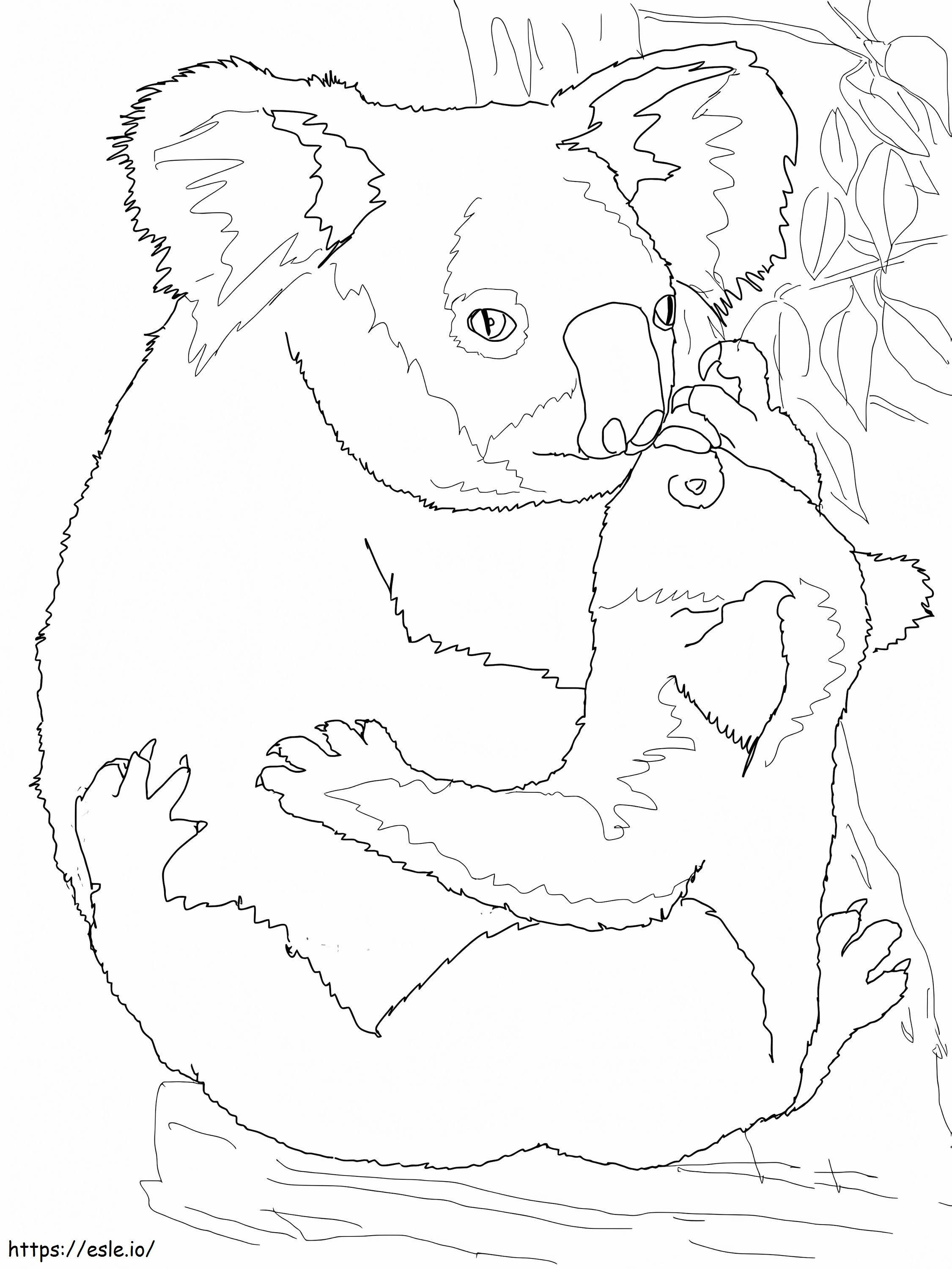 1594428939 Anne Koala Bebeğine Kucaklıyor boyama