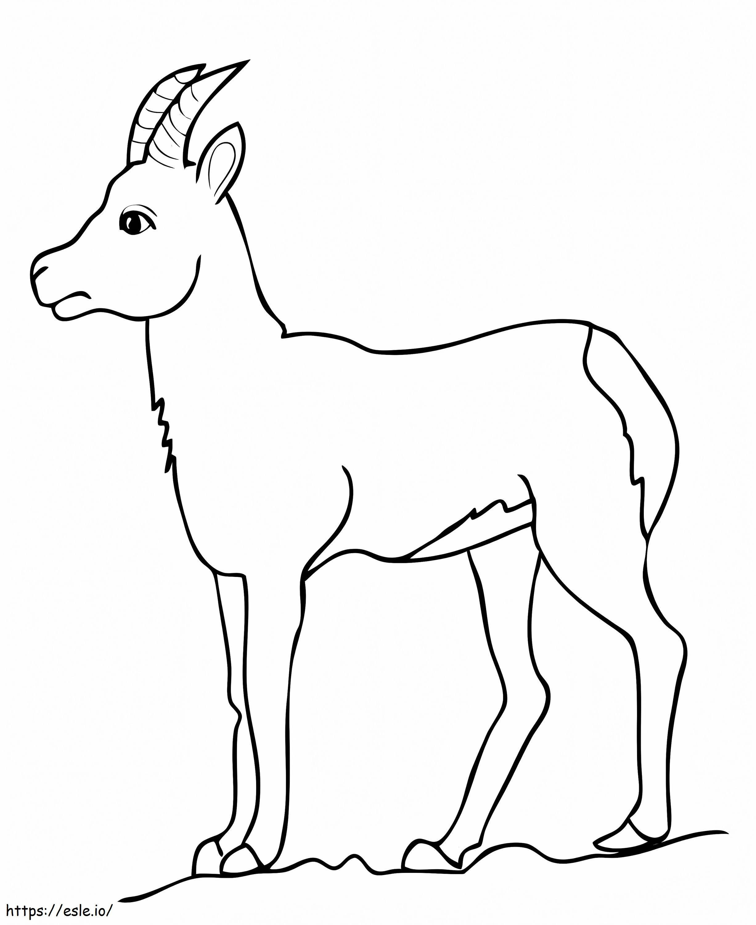 Coloriage Antilope de chèvre chamois à imprimer dessin