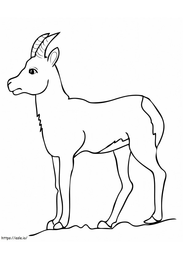 Antilope di capra di camoscio da colorare