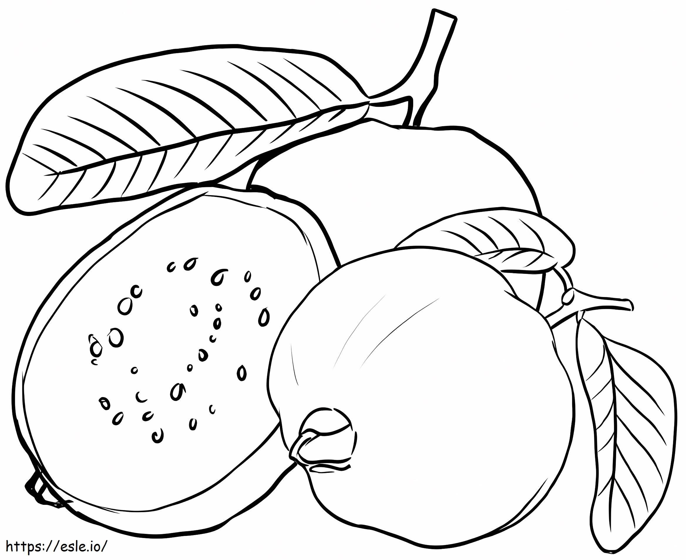 Simple Guava coloring page