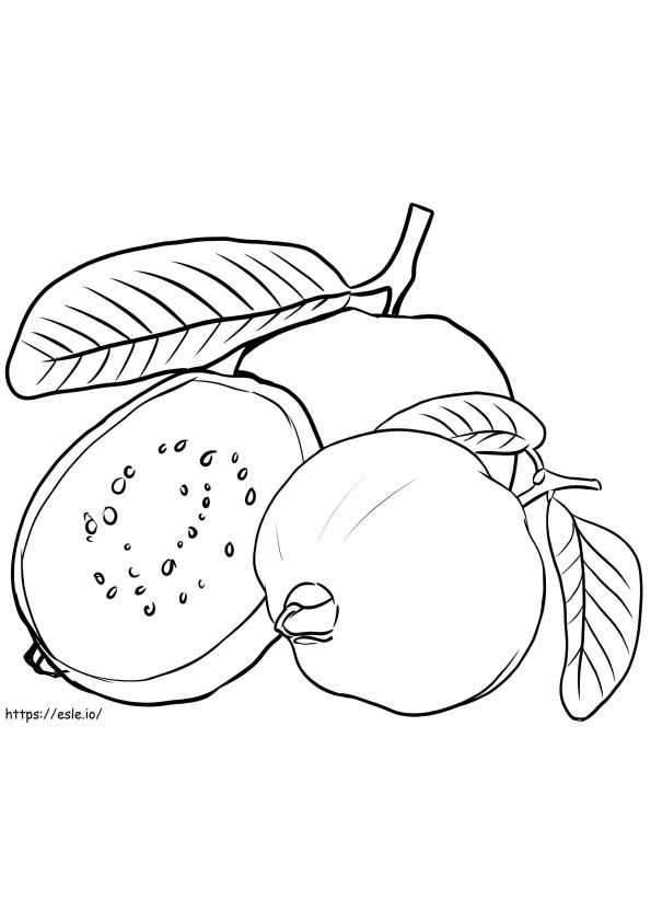 Simple Guava coloring page