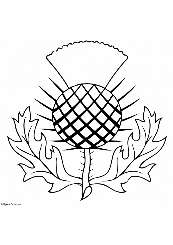 The Thistle Of Scotland coloring page
