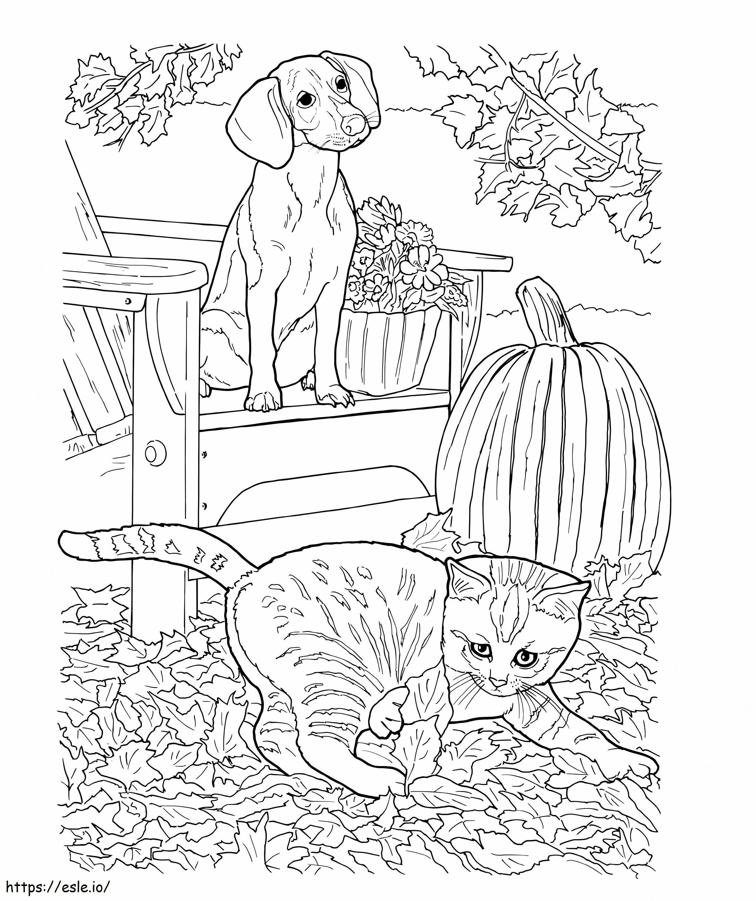 Realistic Dog And Cat coloring page