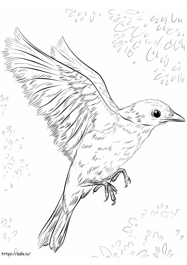 Coloriage Oiseau bleu volant à imprimer dessin