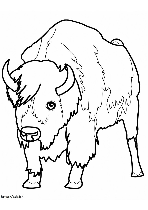 Bison 6 coloring page