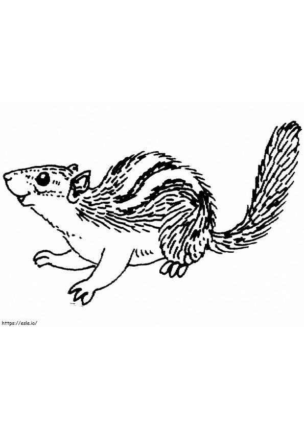 Chipmunk To Color coloring page