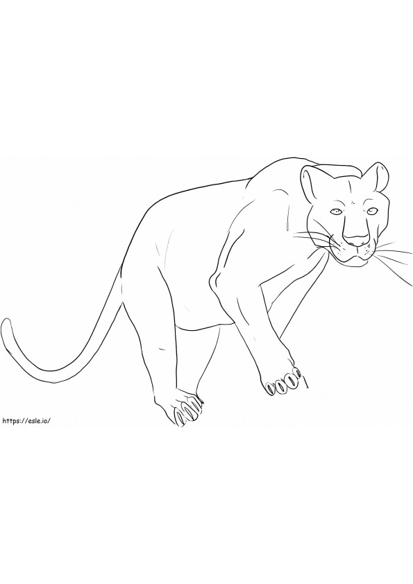 Great Panther coloring page