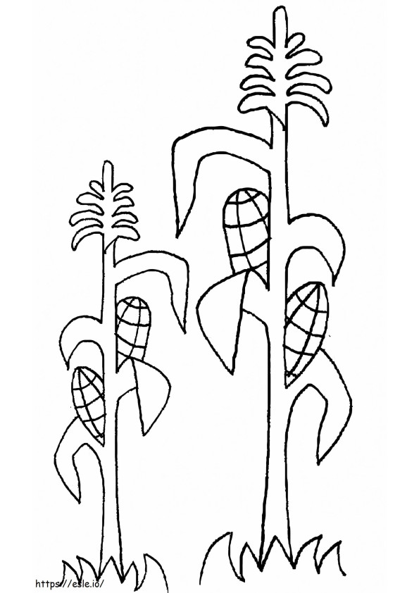 Growing Corn Cobs coloring page
