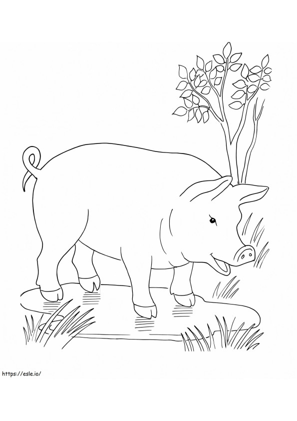 Coloriage Cochon dans la flaque d'eau à imprimer dessin