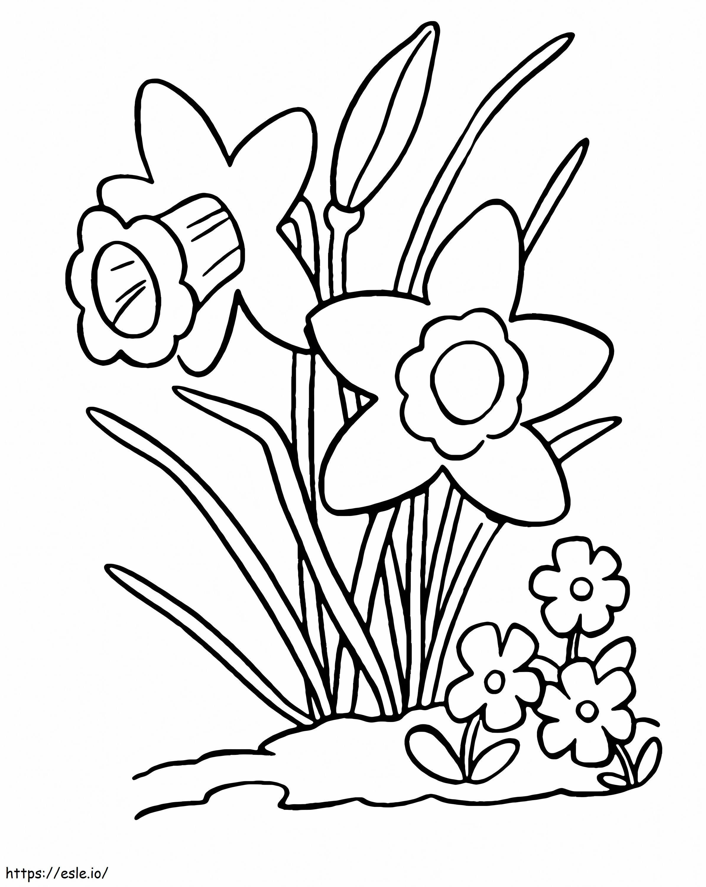 Coloriage Narcisse simple à imprimer dessin