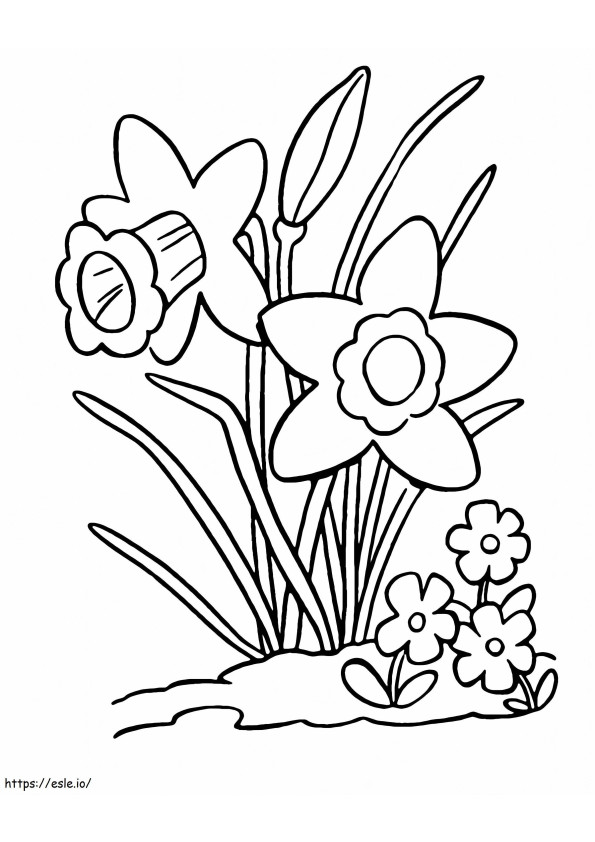 Coloriage Narcisse simple à imprimer dessin