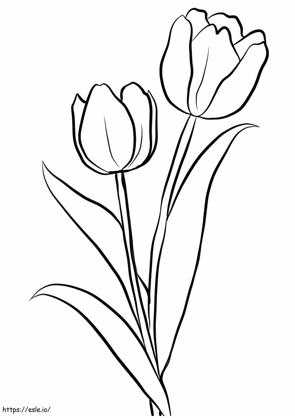 Duas tulipas para colorir