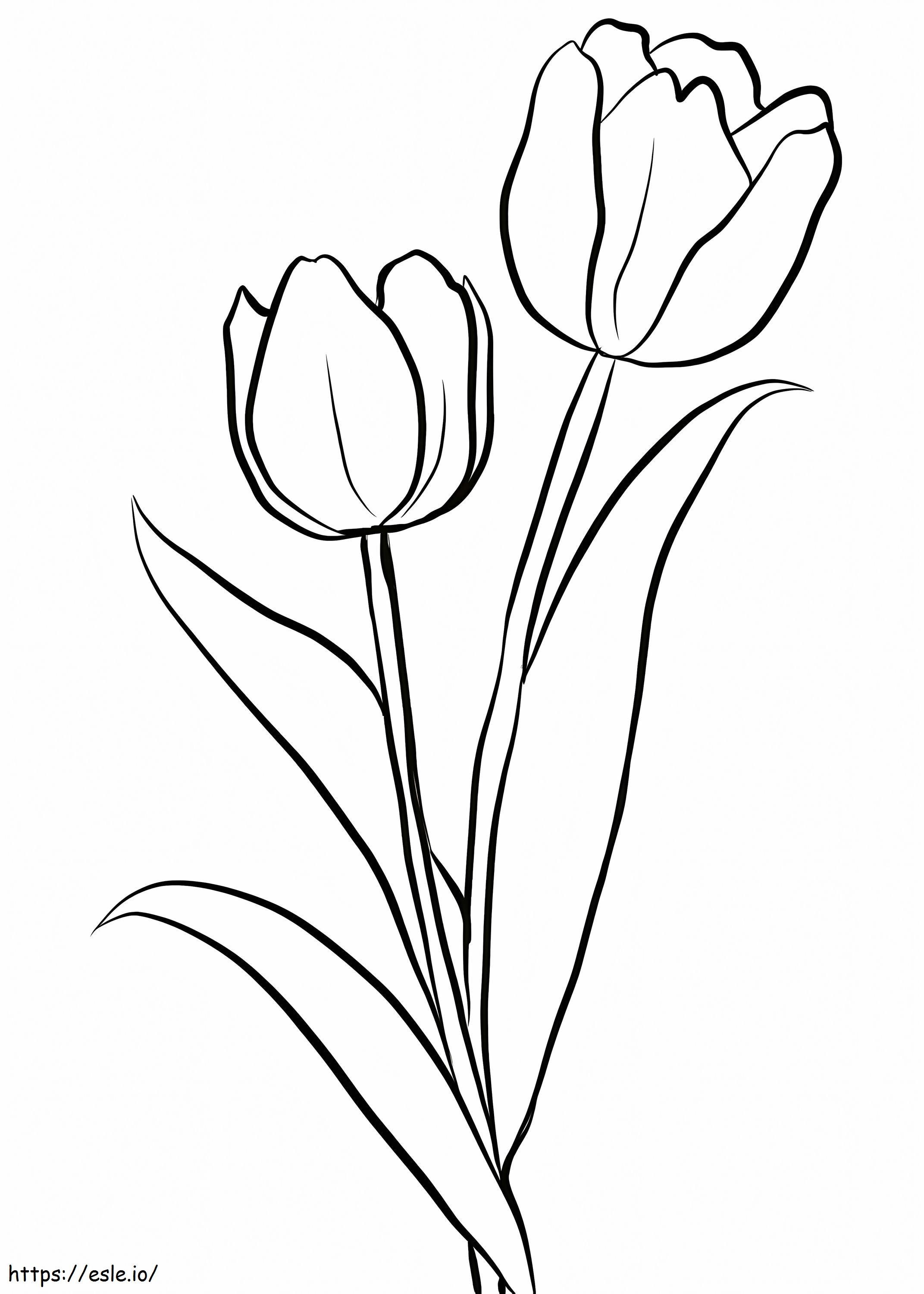 Kleurplaat Twee Tulpen - Gratis Te Printen kleurplaat
