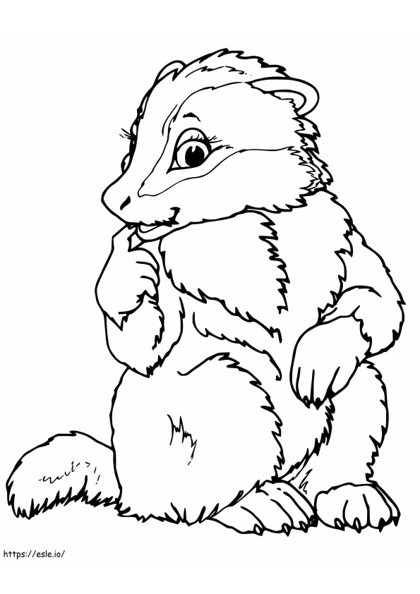 Pretty Badger