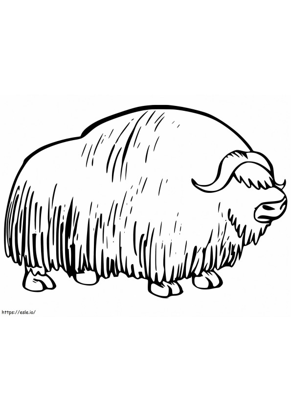 Musk Ox Printable coloring page