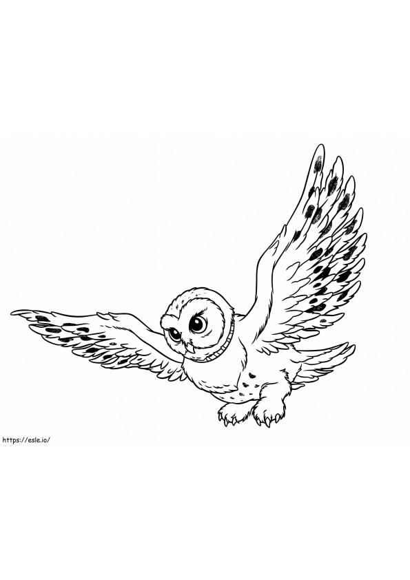 Owl For Kids coloring page