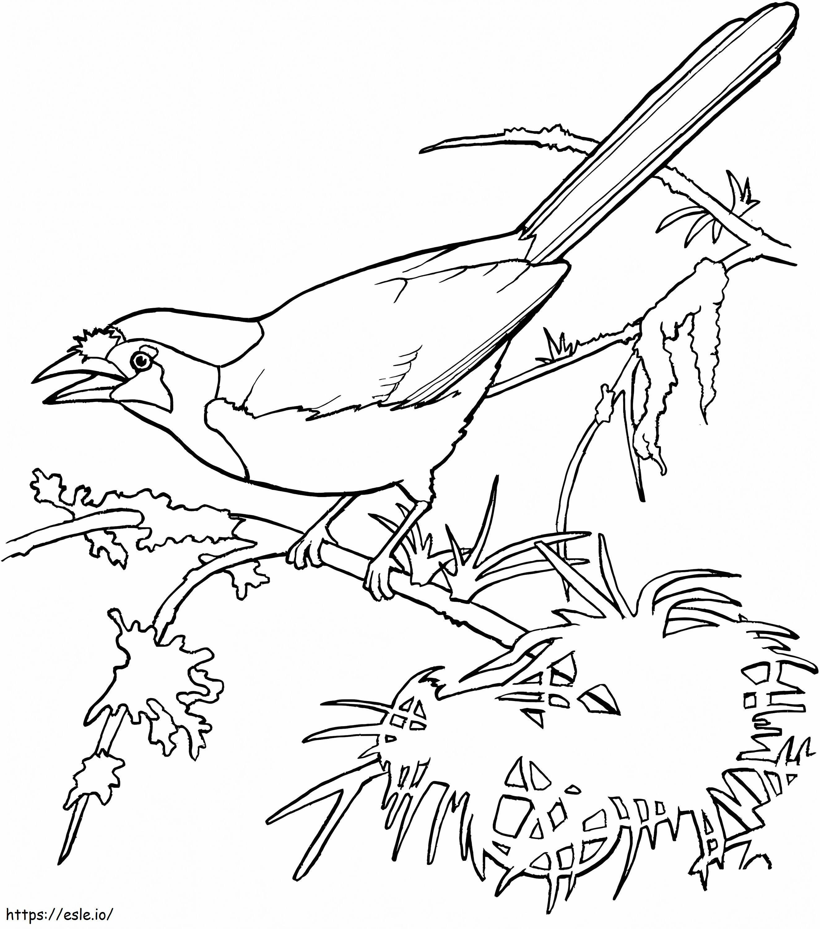 Blue Jay On Tree coloring page