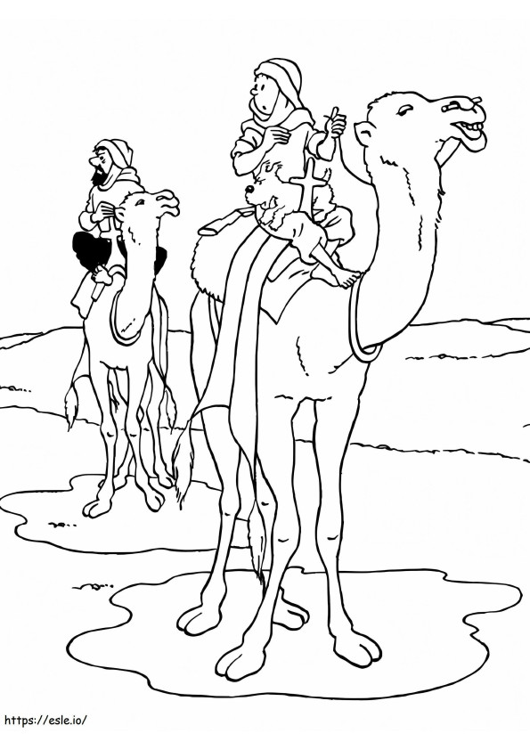Tintin cavalca il cammello da colorare