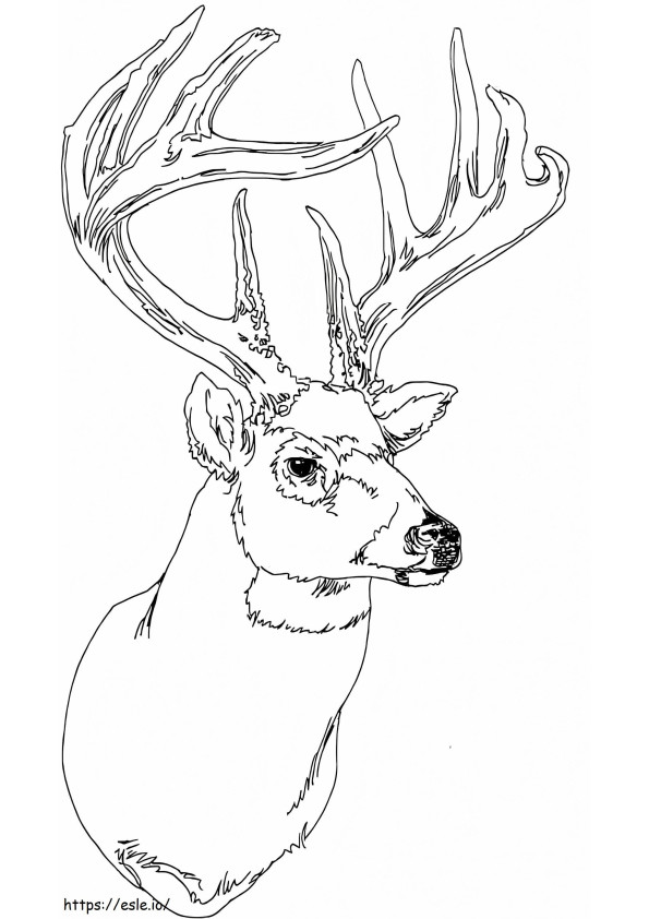 鹿の頭 ぬりえ - 塗り絵