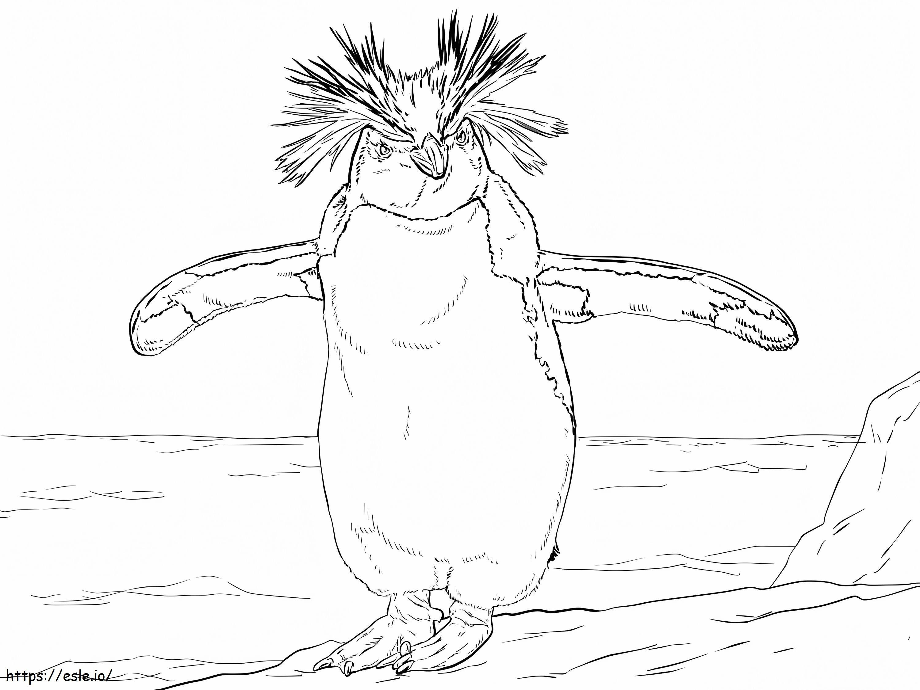 Pinguim Rockhopper do Norte para colorir