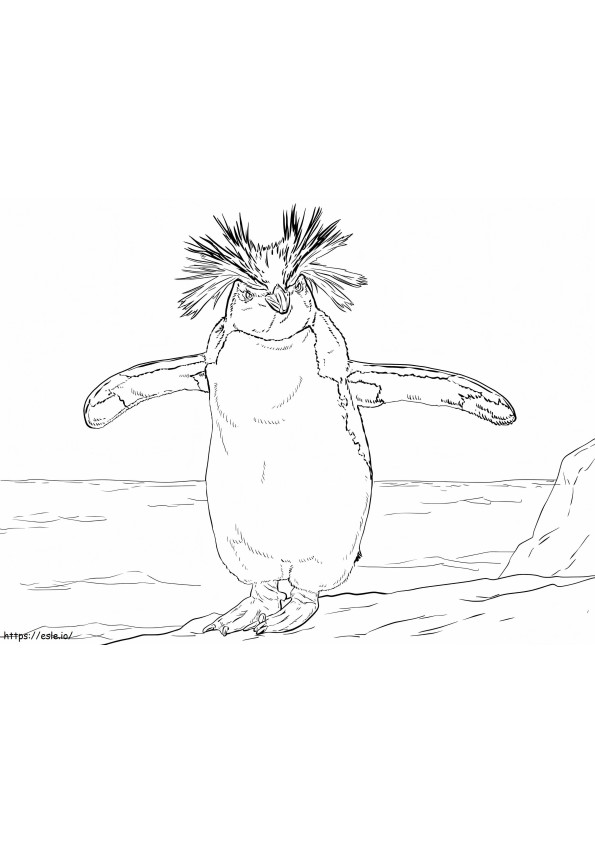 Pinguinul Rockhopper de Nord de colorat