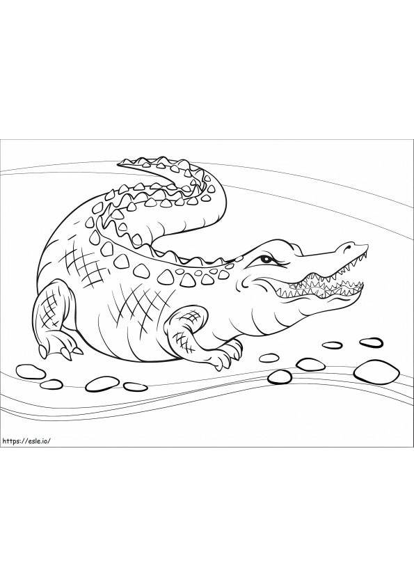 Coloriage Alligator en colère à imprimer dessin