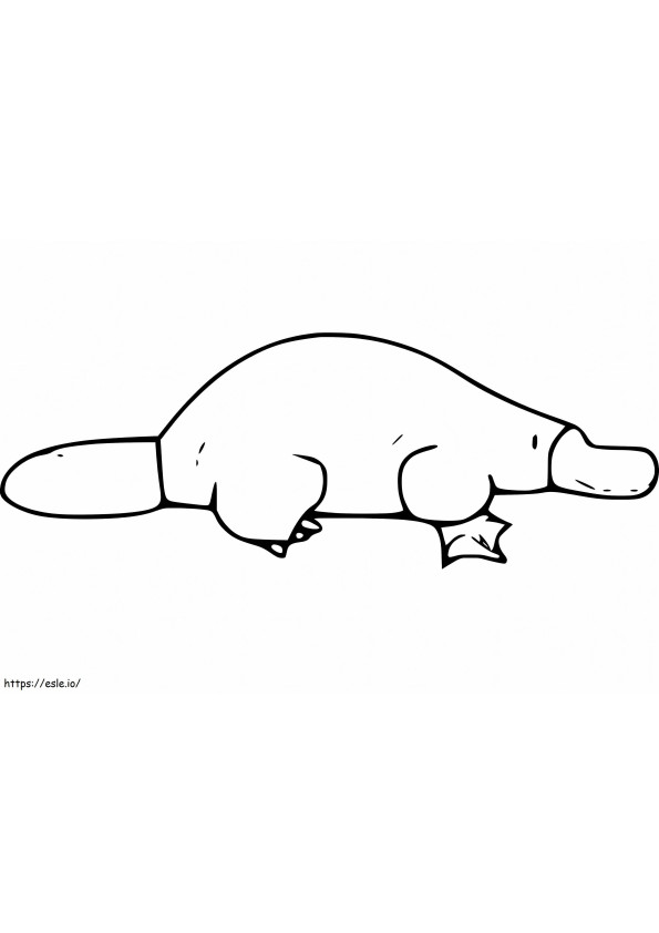 Free Platypus coloring page