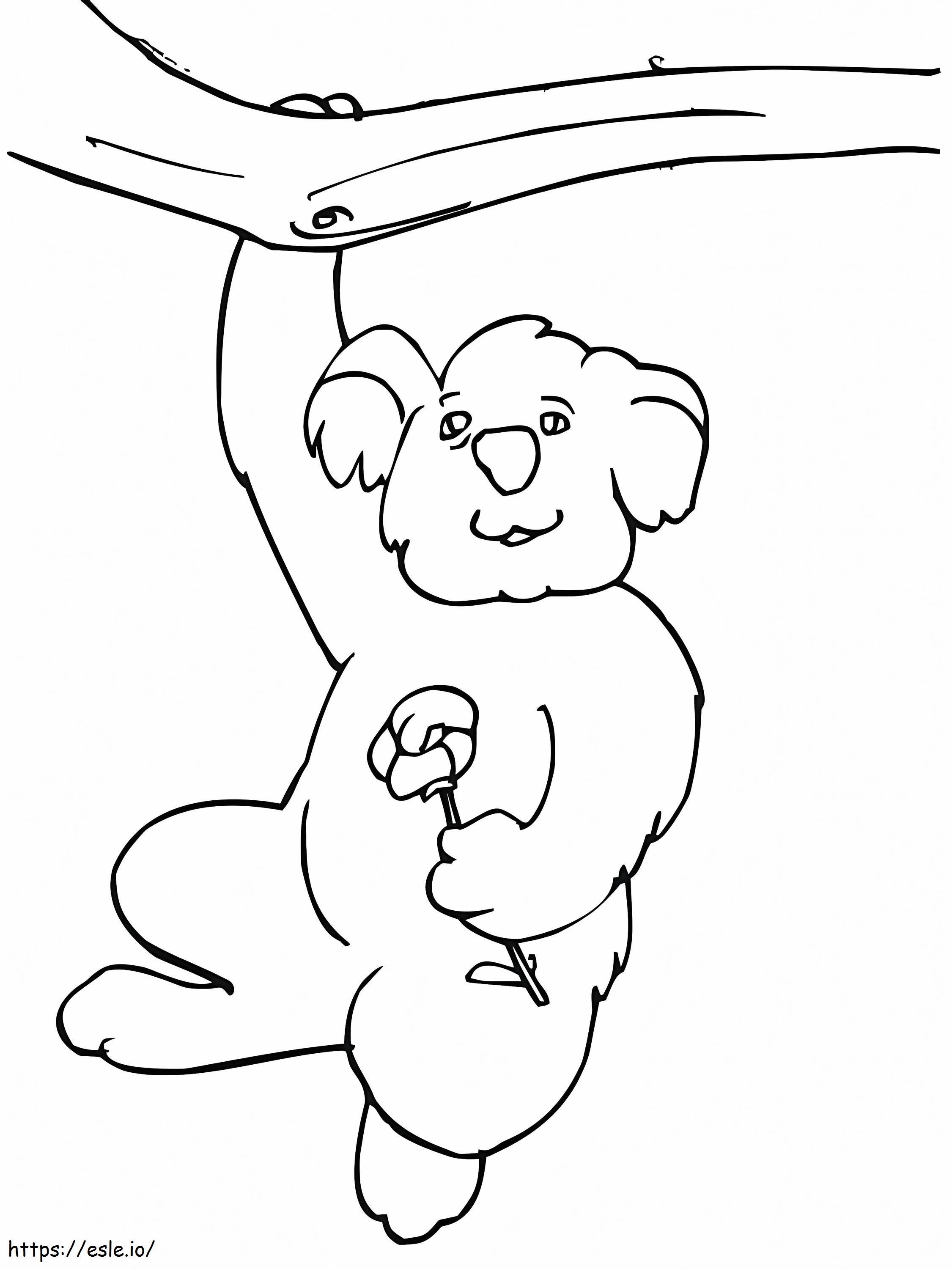 Koala divertente appeso a un albero da colorare