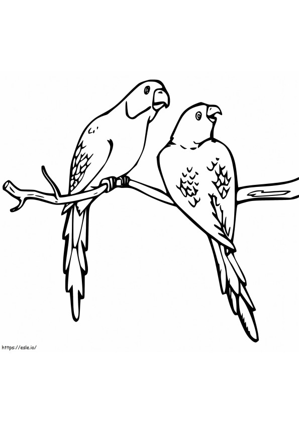 Coloriage Deux perruches à imprimer dessin