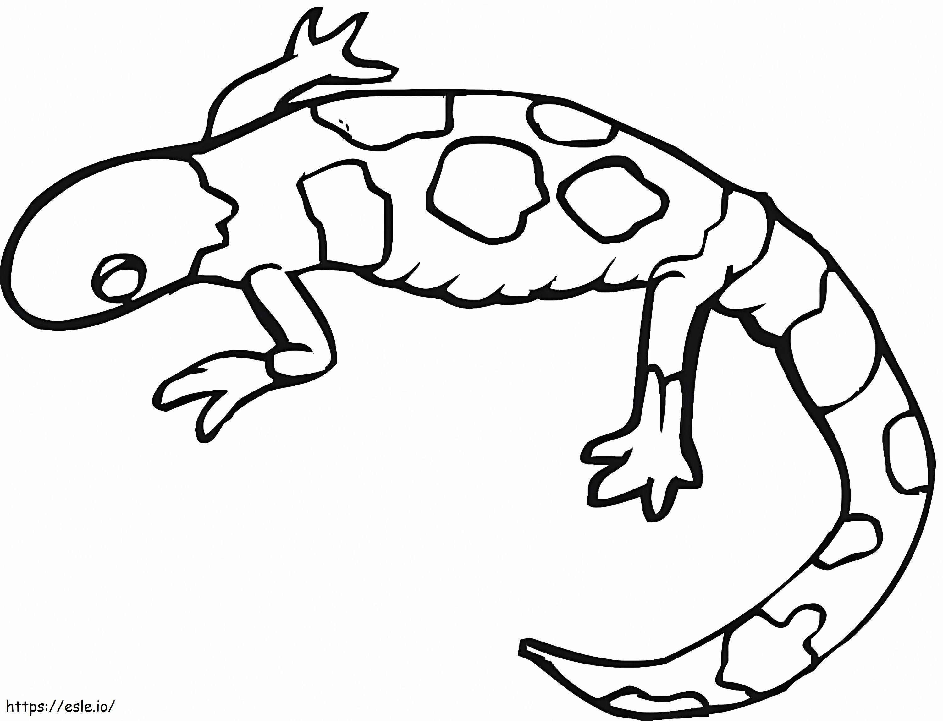 Coloriage Couleur du gecko à imprimer dessin