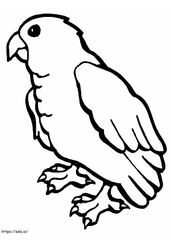 Rysunek papugi kolorowanka