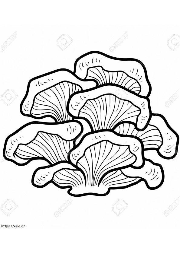 Mushrooms 3 coloring page