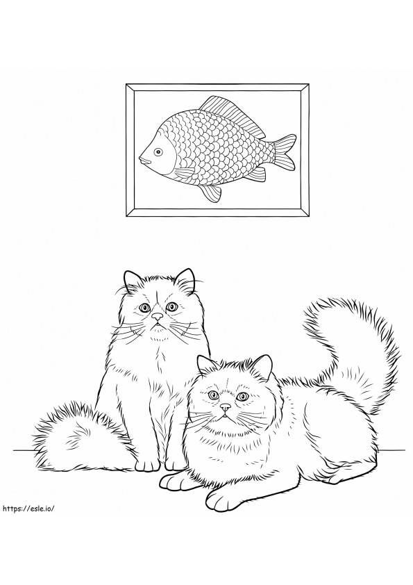 Colorpoint Cats coloring page